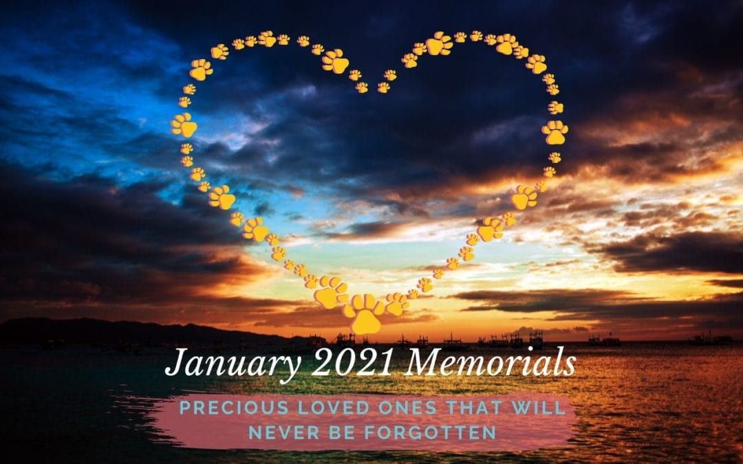 Western Skies Veterinary - In Home Pet Euthanasia | Memorials Archive