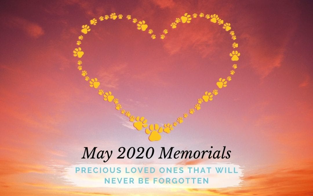 Western Skies Veterinary - In Home Pet Euthanasia | Memorials Archive