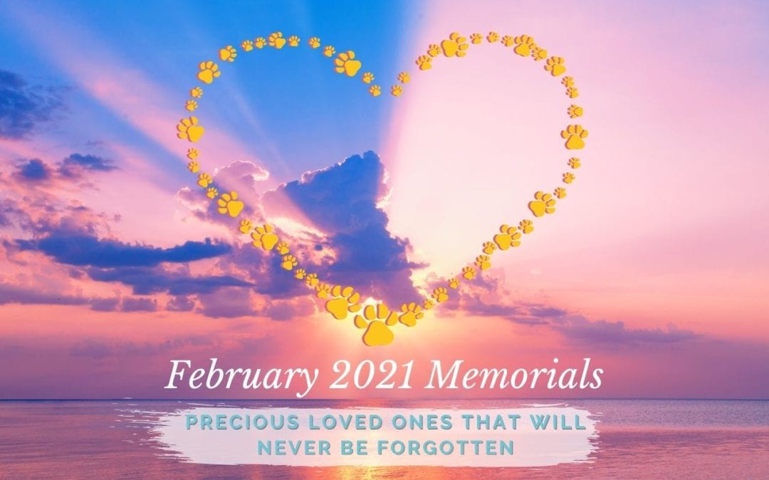 Western Skies Veterinary - In Home Pet Euthanasia | Memorials Archive
