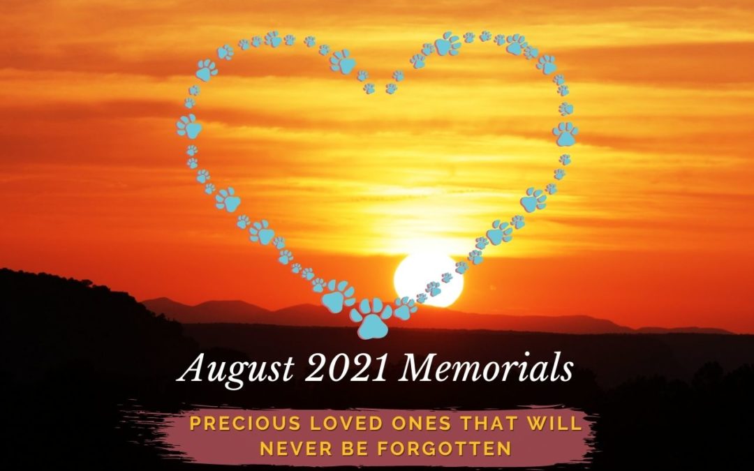 Western Skies Veterinary - In Home Pet Euthanasia | Memorials Archive