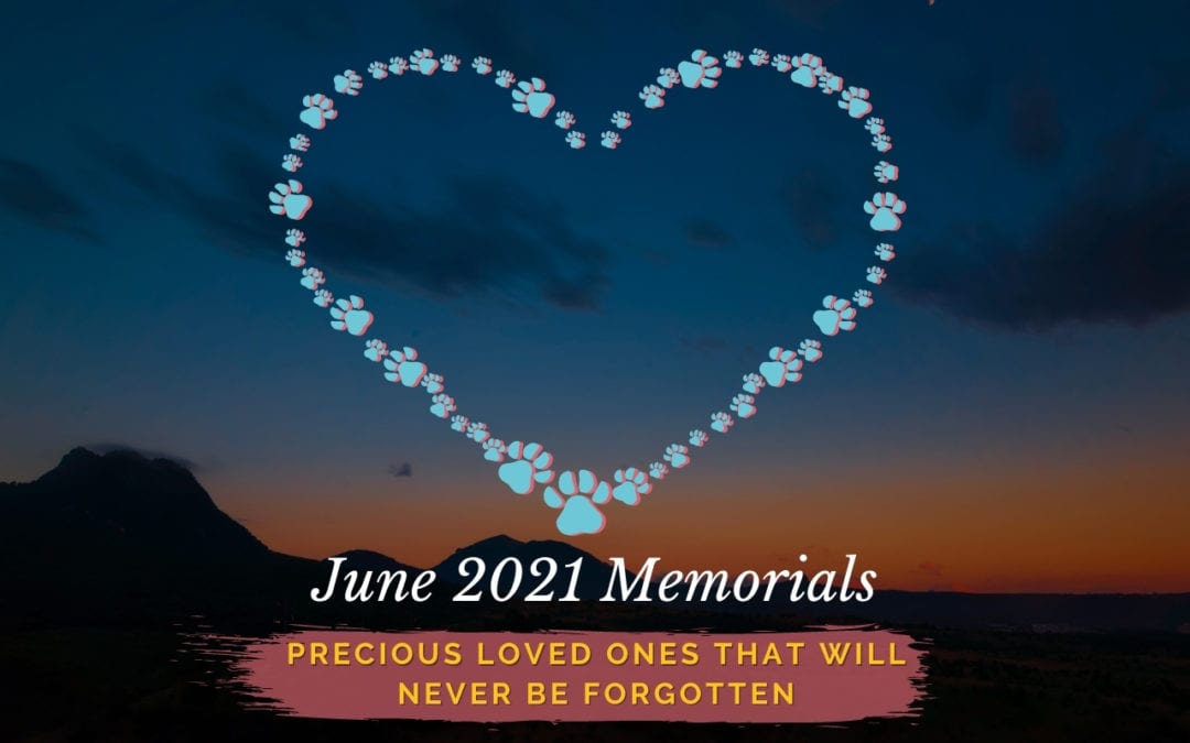 Western Skies Veterinary - In Home Pet Euthanasia | Memorials Archive