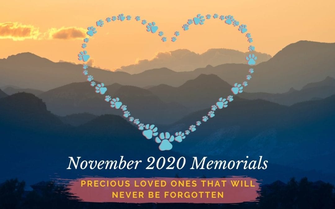 Western Skies Veterinary - In Home Pet Euthanasia | Memorials Archive
