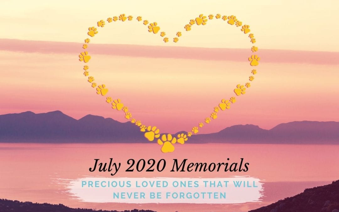 Western Skies Veterinary - In Home Pet Euthanasia | Memorials Archive