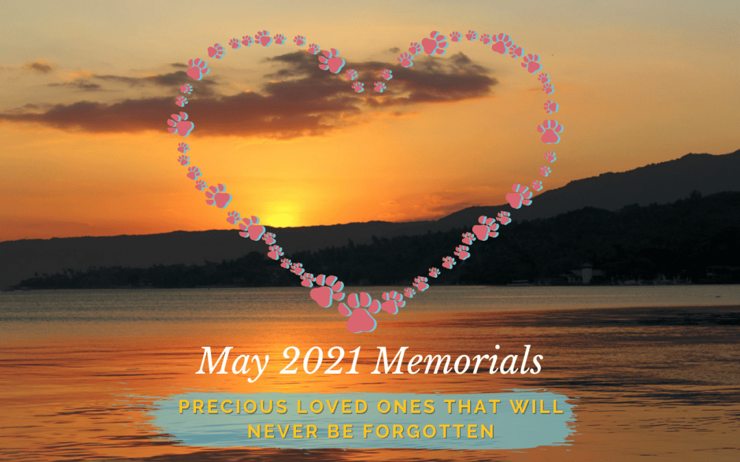 Western Skies Veterinary - In Home Pet Euthanasia | Memorials Archive